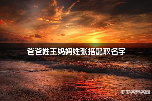 爸爸姓王妈妈姓张搭配取名字