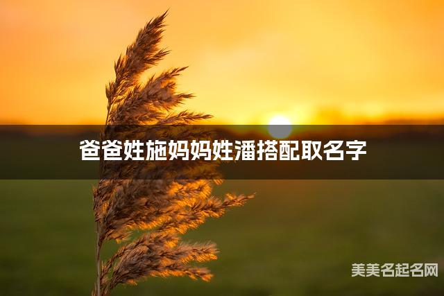 爸爸姓施妈妈姓潘搭配取名字