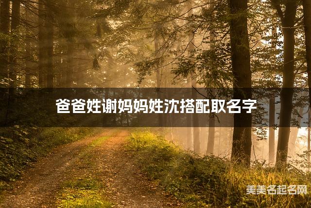 爸爸姓谢妈妈姓沈搭配取名字