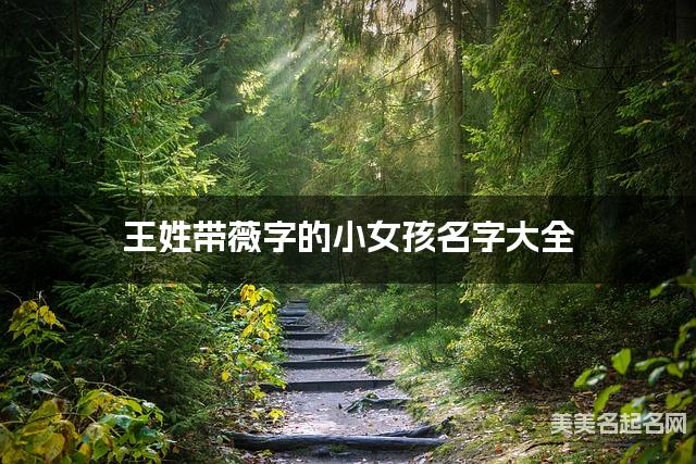王姓带薇字的小女孩名字大全 王姓带薇字的小女孩名字大全