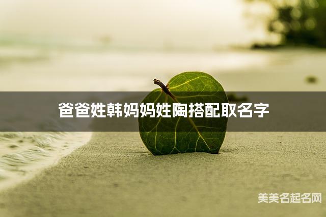 爸爸姓韩妈妈姓陶搭配取名字