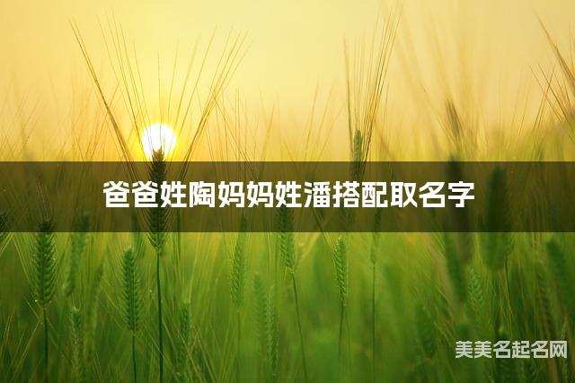 爸爸姓陶妈妈姓潘搭配取名字