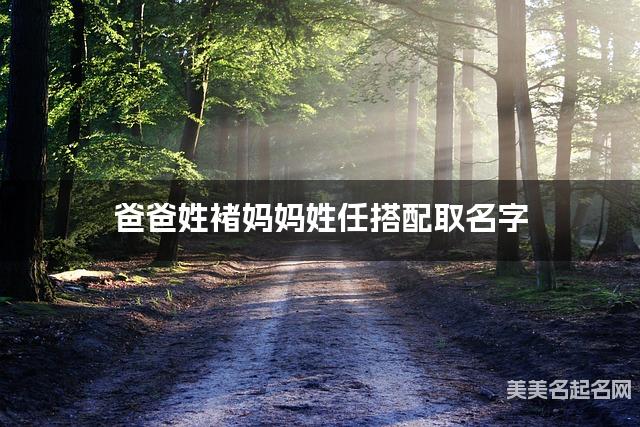 爸爸姓褚妈妈姓任搭配取名字