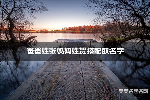 爸爸姓张妈妈姓贺搭配取名字