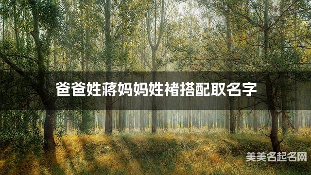 爸爸姓蒋妈妈姓褚搭配取名字