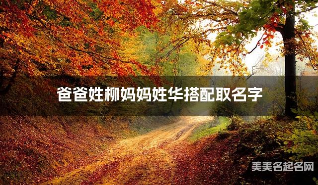 爸爸姓柳妈妈姓华搭配取名字