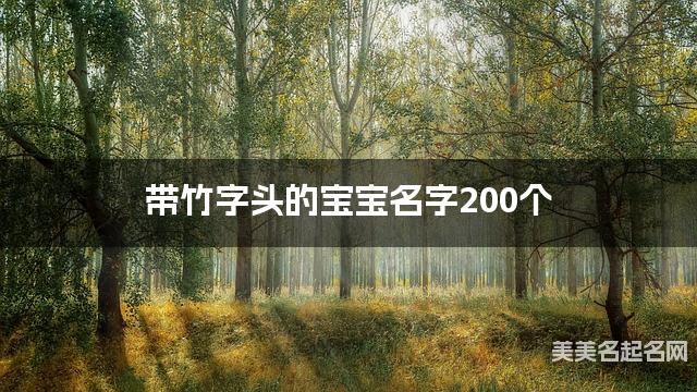 起名字大师周易起好名 带竹字头的宝宝名字200个