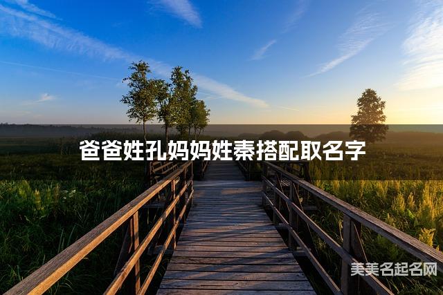 爸爸姓孔妈妈姓秦搭配取名字