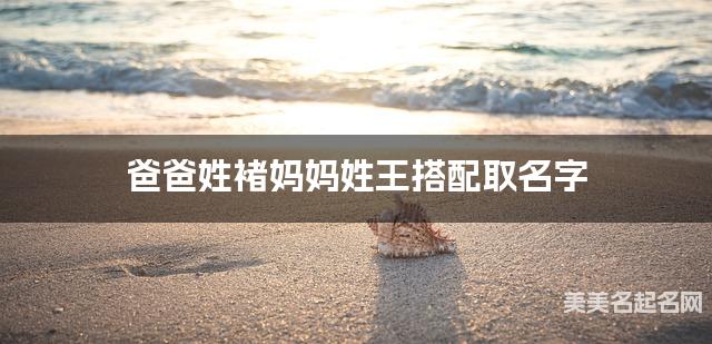 爸爸姓褚妈妈姓王搭配取名字