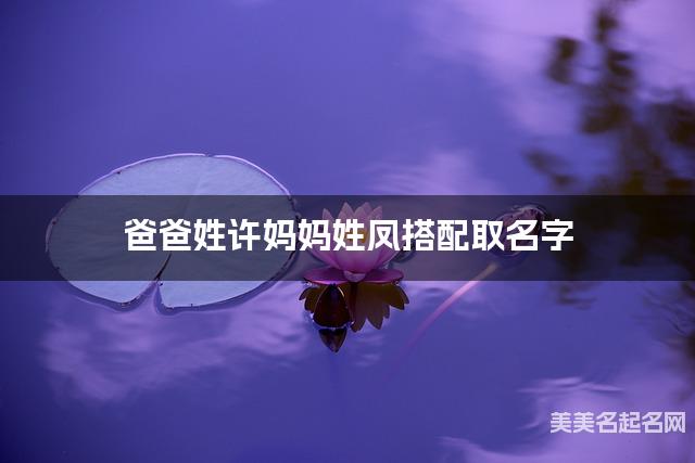爸爸姓许妈妈姓凤搭配取名字