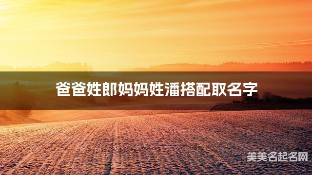 爸爸姓郎妈妈姓潘搭配取名字