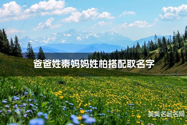 爸爸姓秦妈妈姓柏搭配取名字