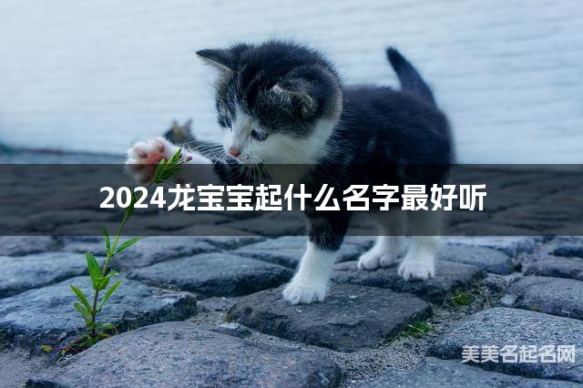 2024龙宝宝起什么名字最好听 宝宝起名推荐(清新脱俗) 2024龙宝宝起什么名字最好听 宝宝起名推荐(清新脱俗)