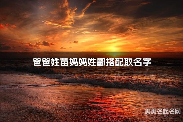 爸爸姓苗妈妈姓酆搭配取名字