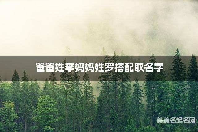 爸爸姓李妈妈姓罗搭配取名字