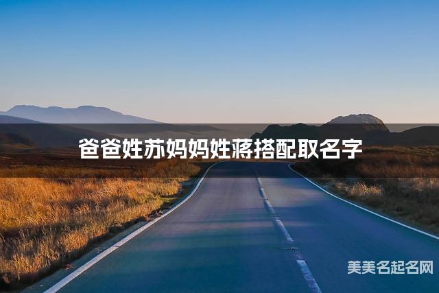 爸爸姓苏妈妈姓蒋搭配取名字