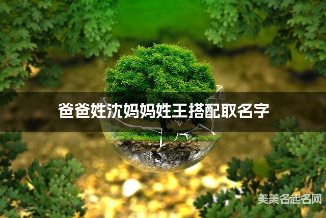 爸爸姓沈妈妈姓王搭配取名字