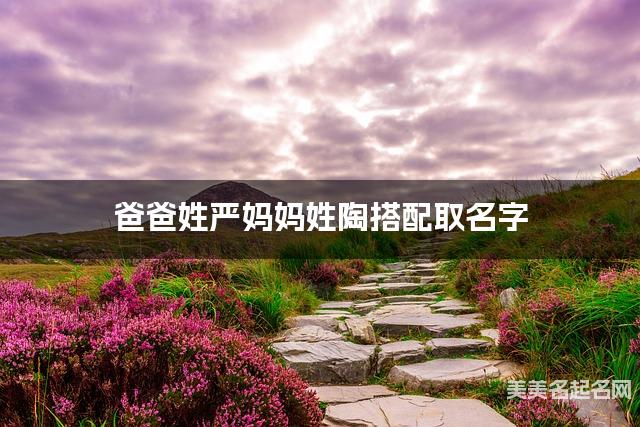 爸爸姓严妈妈姓陶搭配取名字