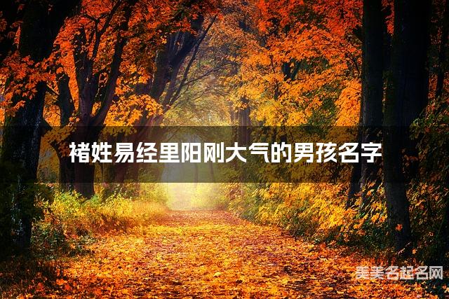 取名字在线生成 褚姓易经里阳刚大气的男孩名字