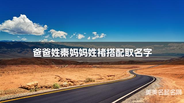 爸爸姓秦妈妈姓褚搭配取名字