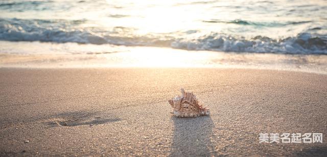 用唐诗给小男孩起个高雅有诗意的名字 用唐诗给小男孩起个高雅有诗意的名字