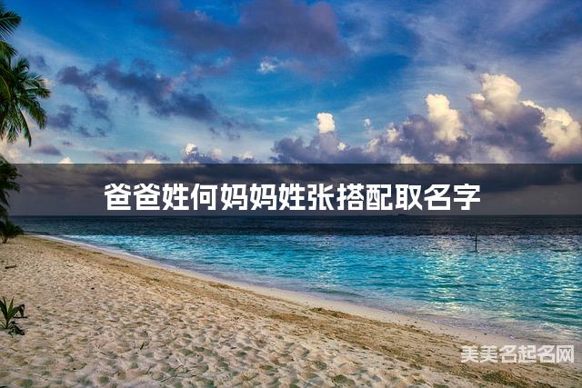 爸爸姓何妈妈姓张搭配取名字