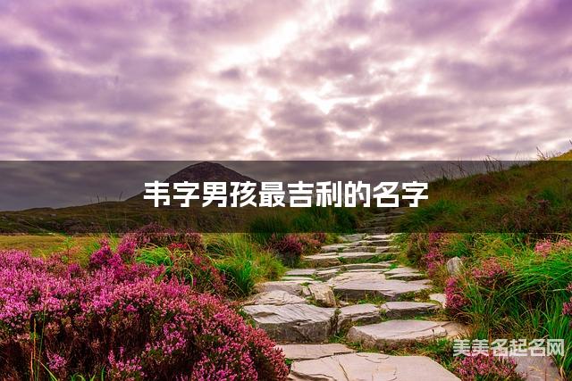 韦字男孩最吉利的名字 带韦字男宝宝独一无二与众不同的名字 韦字男孩最吉利的名字 带韦字男宝宝独一无二与众不同的名字