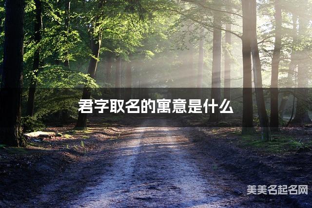 君字取名的寓意是什么 君字取名的寓意是什么