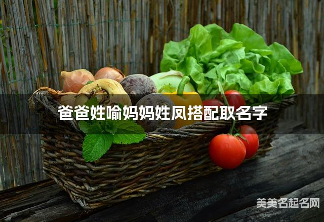 爸爸姓喻妈妈姓凤搭配取名字