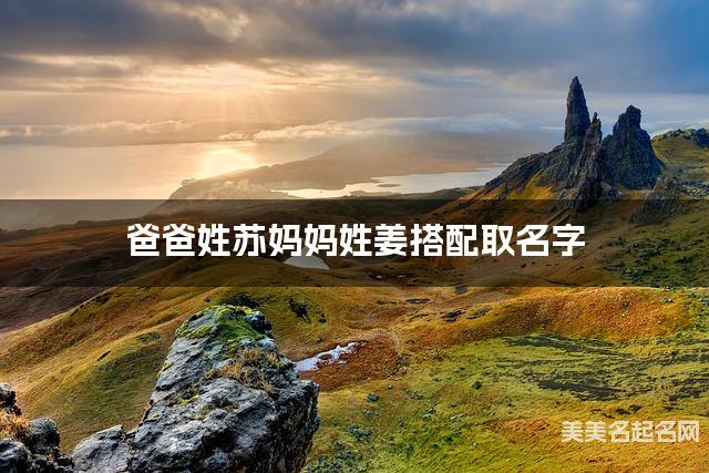 爸爸姓苏妈妈姓姜搭配取名字