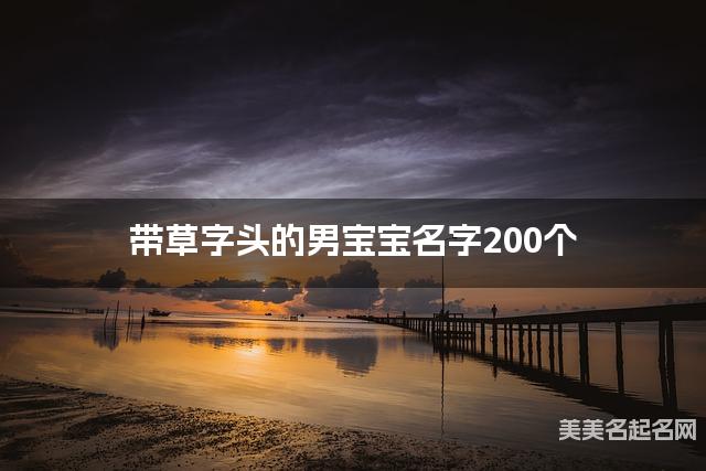 宝宝取名字大全 带草字头的男宝宝名字200个