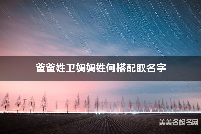 爸爸姓卫妈妈姓何搭配取名字