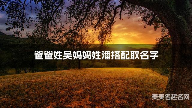 爸爸姓吴妈妈姓潘搭配取名字
