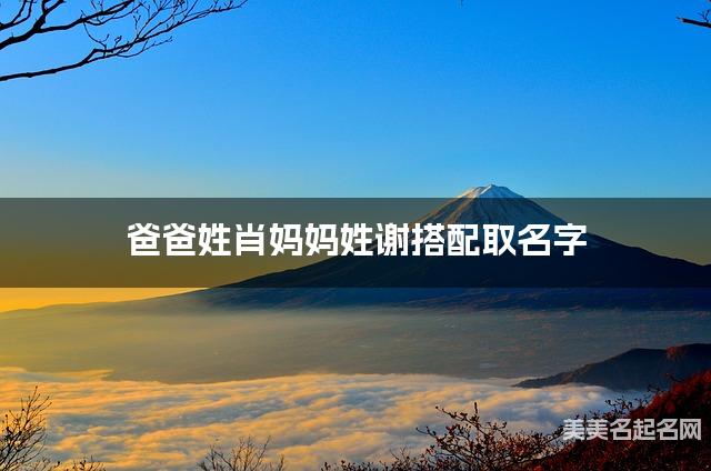 爸爸姓肖妈妈姓谢搭配取名字