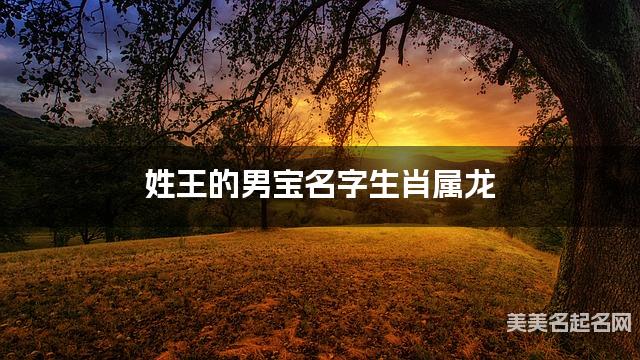 姓王的男宝名字生肖属龙 有气质的宝宝名字大全 姓王的男宝名字生肖属龙 有气质的宝宝名字大全