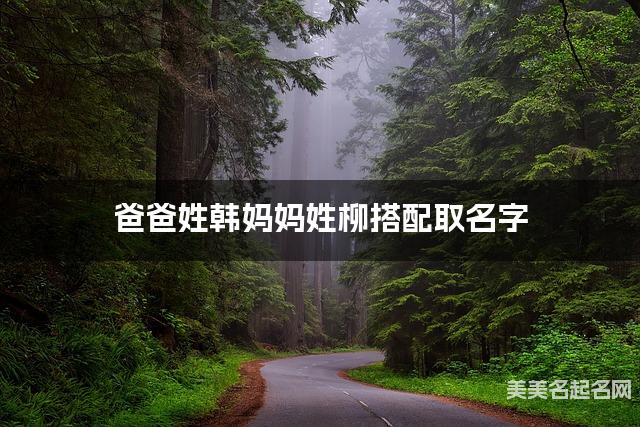 爸爸姓韩妈妈姓柳搭配取名字