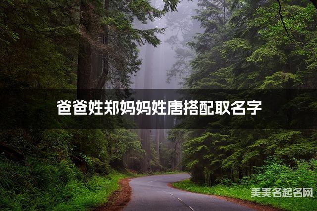 爸爸姓郑妈妈姓唐搭配取名字