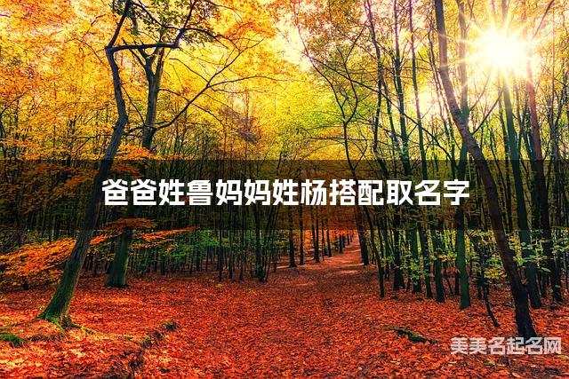 爸爸姓鲁妈妈姓杨搭配取名字