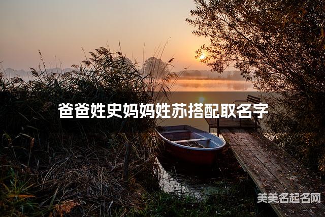 爸爸姓史妈妈姓苏搭配取名字