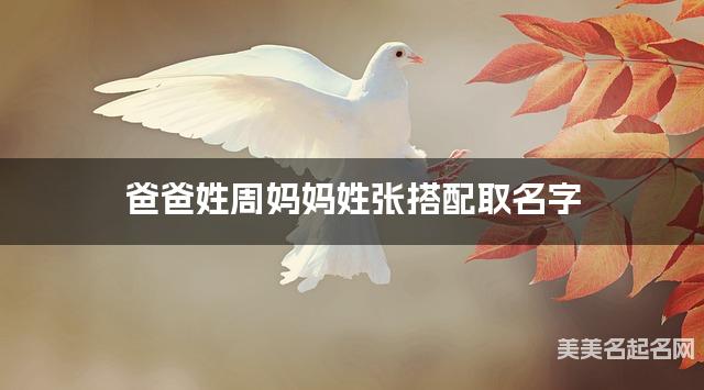 爸爸姓周妈妈姓张搭配取名字