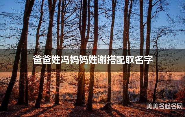 爸爸姓冯妈妈姓谢搭配取名字