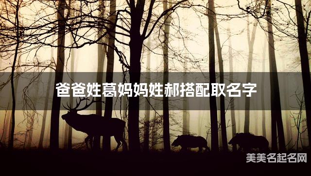 爸爸姓葛妈妈姓郝搭配取名字