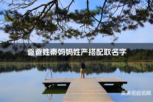 爸爸姓秦妈妈姓严搭配取名字