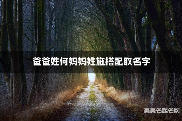 爸爸姓何妈妈姓施搭配取名字