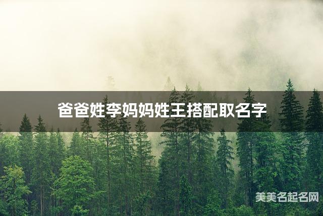 爸爸姓李妈妈姓王搭配取名字