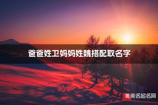 爸爸姓卫妈妈姓魏搭配取名字