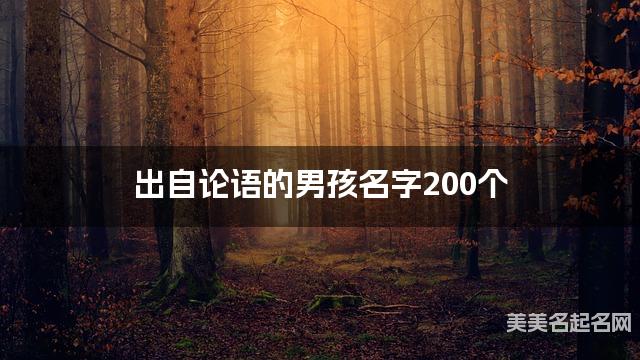 出自论语的男孩名字200个