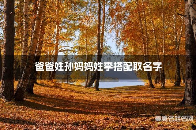爸爸姓孙妈妈姓李搭配取名字
