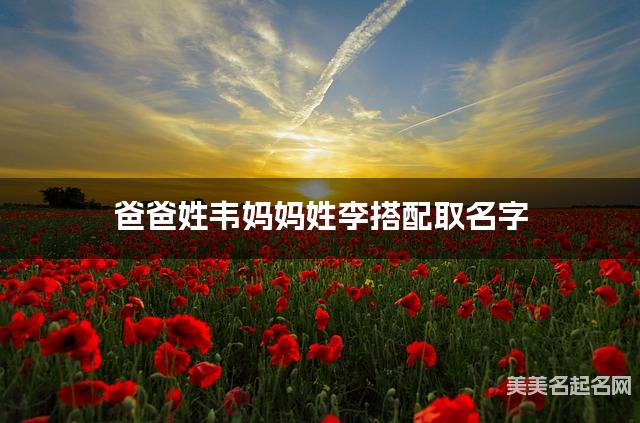 爸爸姓韦妈妈姓李搭配取名字