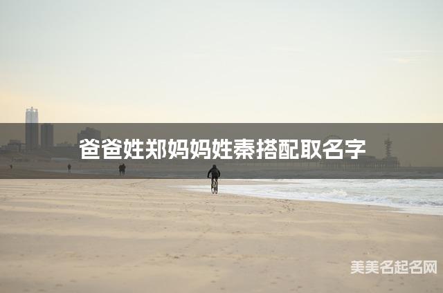 爸爸姓郑妈妈姓秦搭配取名字